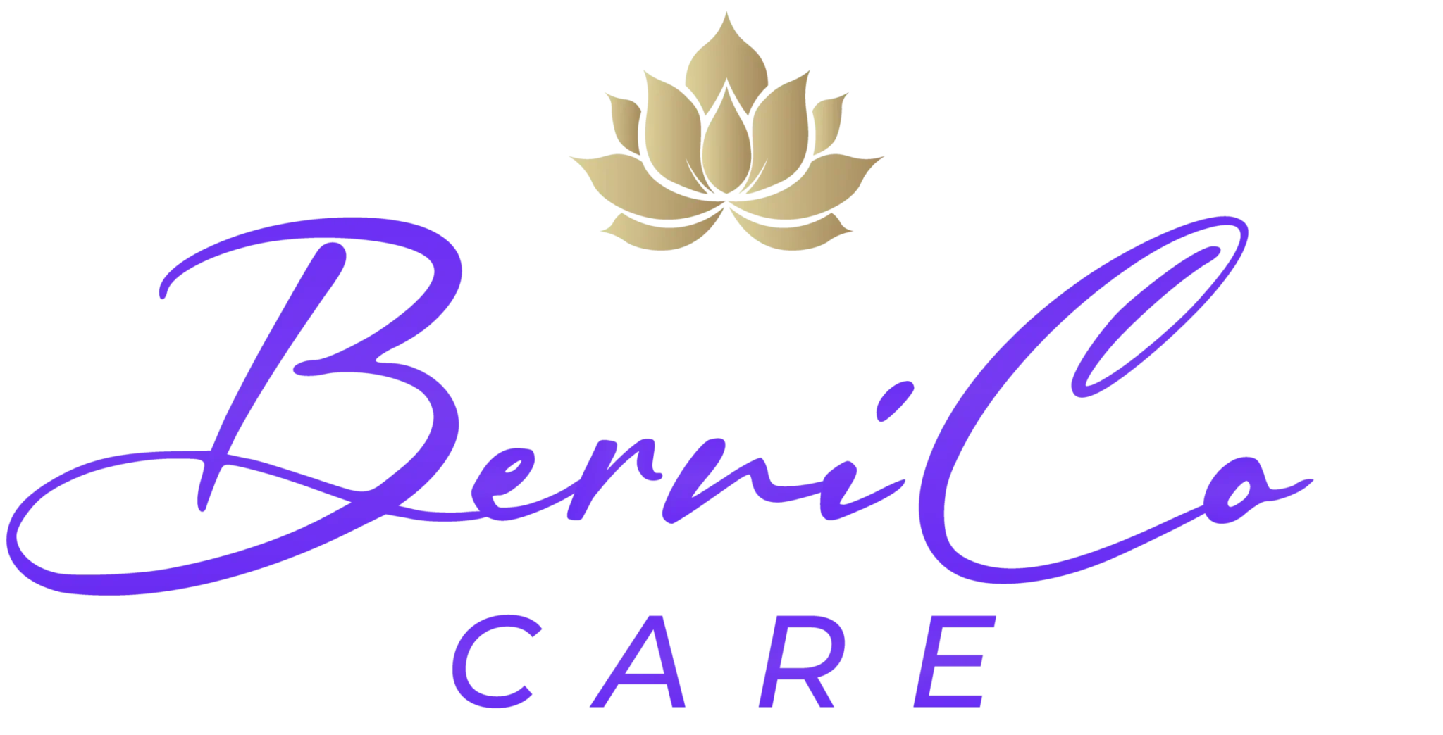 NDIS Support - BerniCo Care